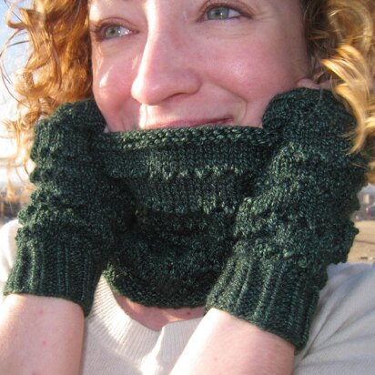 Erinn Fingerless Mitts & Cowl Set