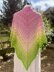 The Leela Shawl