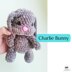 Charlie Bunny