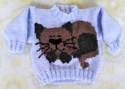 Sleeping Cat Baby Jumper