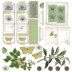 49 And Market Collection Pack 12"X12" - Vintage Artistry Sage