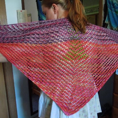 Blackberries in the Raspberry Patch--A Summer Shawl