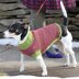 Kristin Nicholas Designs A Dog In Sheep's Clothing PDF