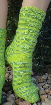 Mock Turtle Socks