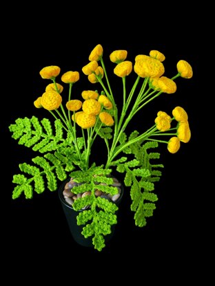 Crochet Tansy flowers