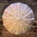 Pine Needle Beanie
