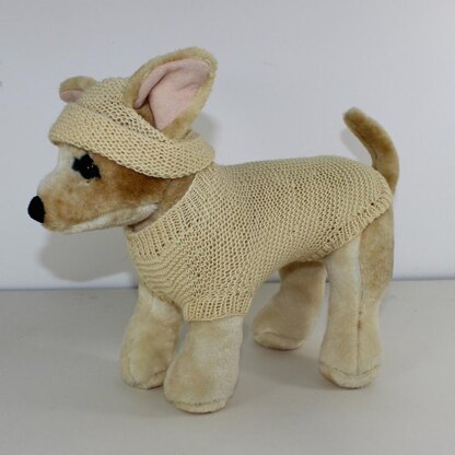 Small Dog 4 Ply Coat & Beanie Hat