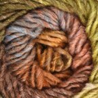 Persimmon (467)