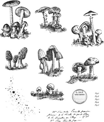 Stampers Anonymous Tim Holtz Cling Stamps 7"X8.5" - Tiny Toadstools