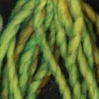 Lucky Lindy (3904)