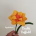 Double Daffodil