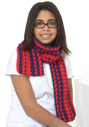Be Proud Scarf in Red Heart Soft Solids - LW2604