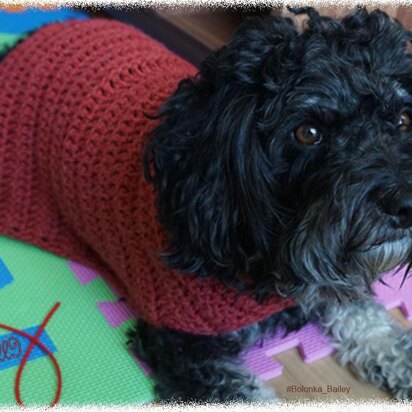 Crochet Pattern for the easy dog coat!