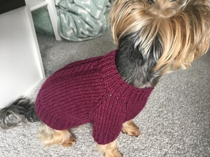 Plum Dog Sweater