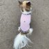Chihuahua jumper