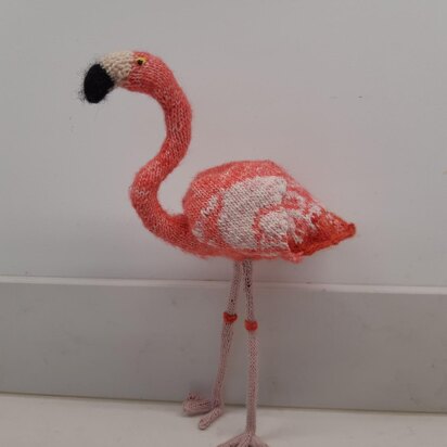 Flamingo