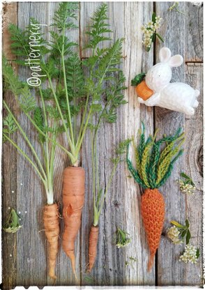 Carrot treat for bunny