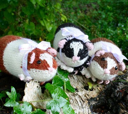 Mummy and Baby Guinea Pigs