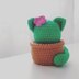 Cactus Cat Amigurumi