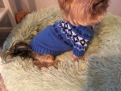 Yoke Dog Sweater