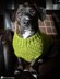 Dandy Dog Sweater