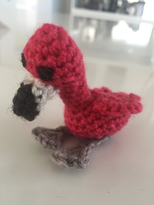 Little Flamingo