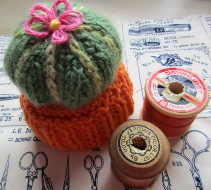 Cactus Pin Cushion