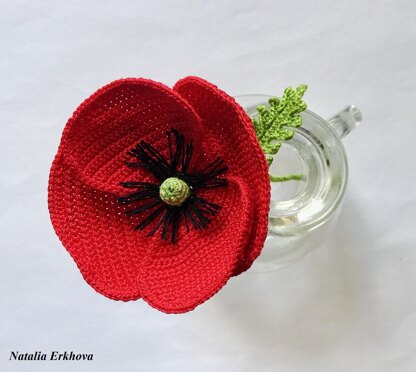 Poppy flower