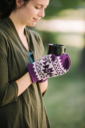 Autumn’s Aztec Mittens