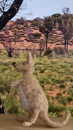 Kangaroo Family