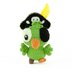 Pirate Parrot