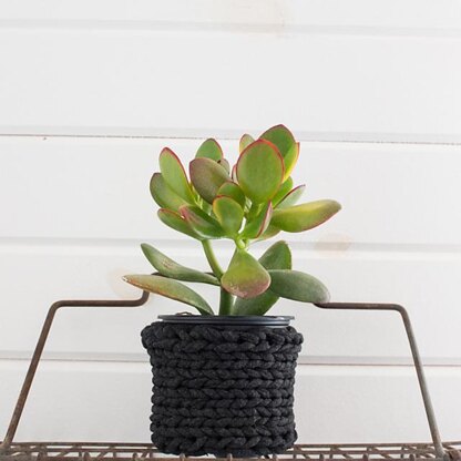 Project : 3 Plant Cozies