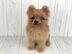 Pomeranian dog crochet