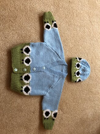 Sheep cardigan #3