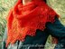 Narnia Shawl