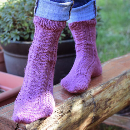 Skacel Beatroot Socks PDF