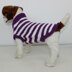 Aran Stripe Dog Coat