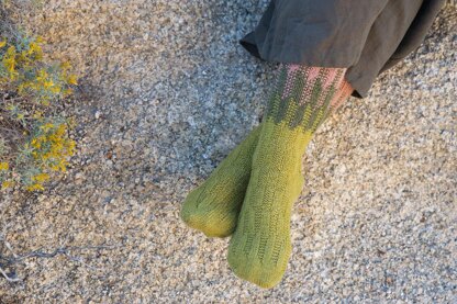 Cereus Socks