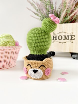 Cute cactus in a pot bear