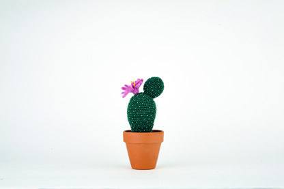 Crocheted Cactuses by Sarah Abbondio