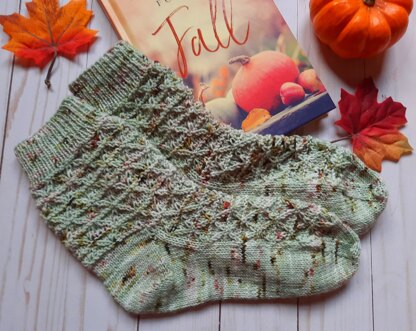 Trimetry Socks in Cozy Cottage