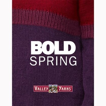 Valley Yarns Bold Spring eBook