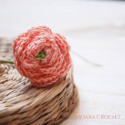 Ranunculus Flower