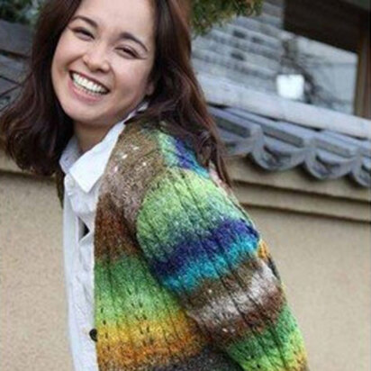 Noro Cardigan (Hanami 3) PDF