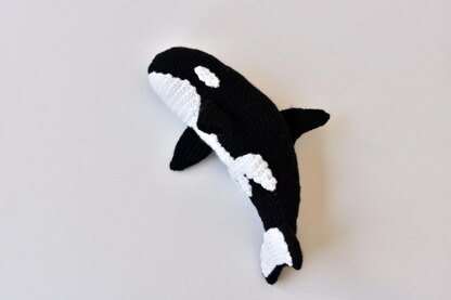 Orca Whale