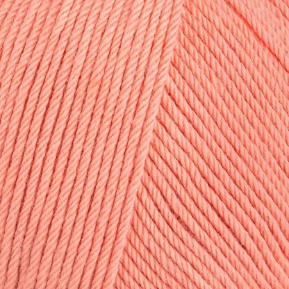 Flamingo (341)