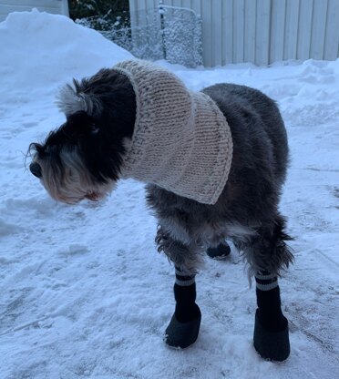 Tilda dog hat