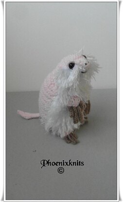 Armo The Pink Fairy Armadillo