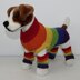 Rainbow Dog Coat and Legwarmers
