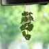 Hollow Green Plant Car Hanging